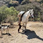 Coyote Canyon Adventures