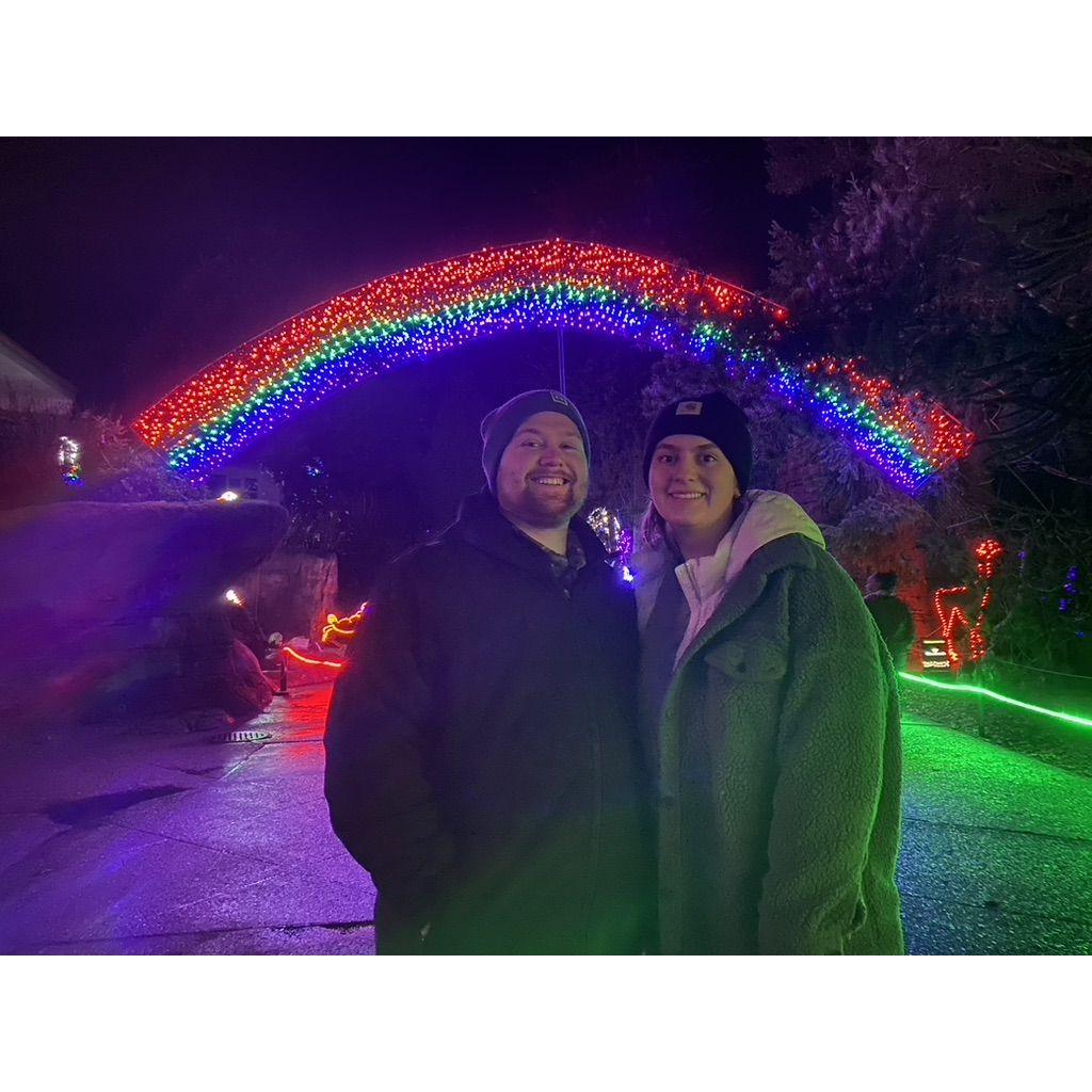 zoolights!