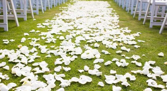 The Wedding Website of Lauren Thomas and Casey Eubanks