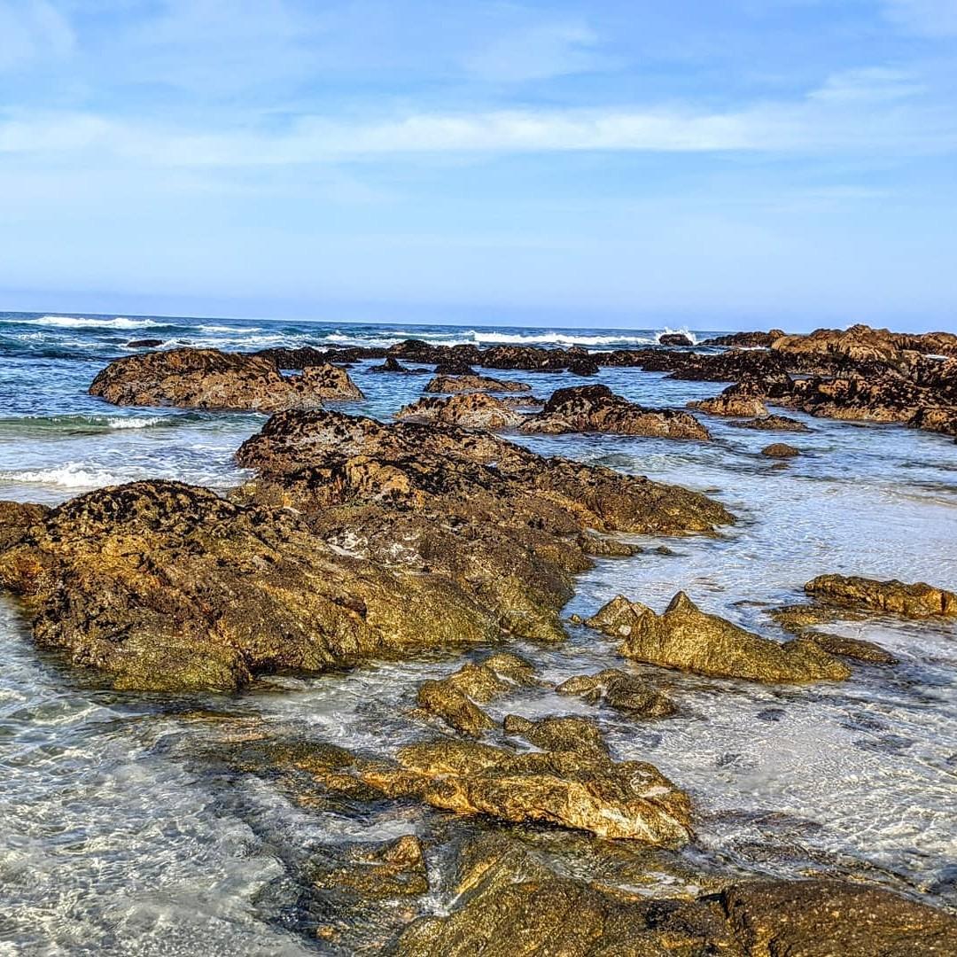 Alamar State Beach, Monterey