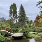 Kubota Garden