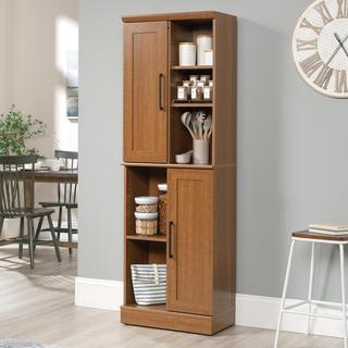 HomePlus 2-Door Storage Cabinet