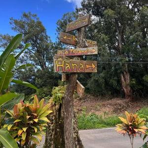 Private Guided Road Trip on Maui