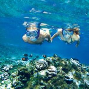 Molokini And Turtle Arches Snorkeling Trip