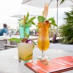 Citrus Club