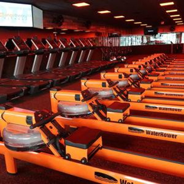 One year at our gym
