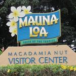 Mauna Loa Macadamia Nut Visitor Center