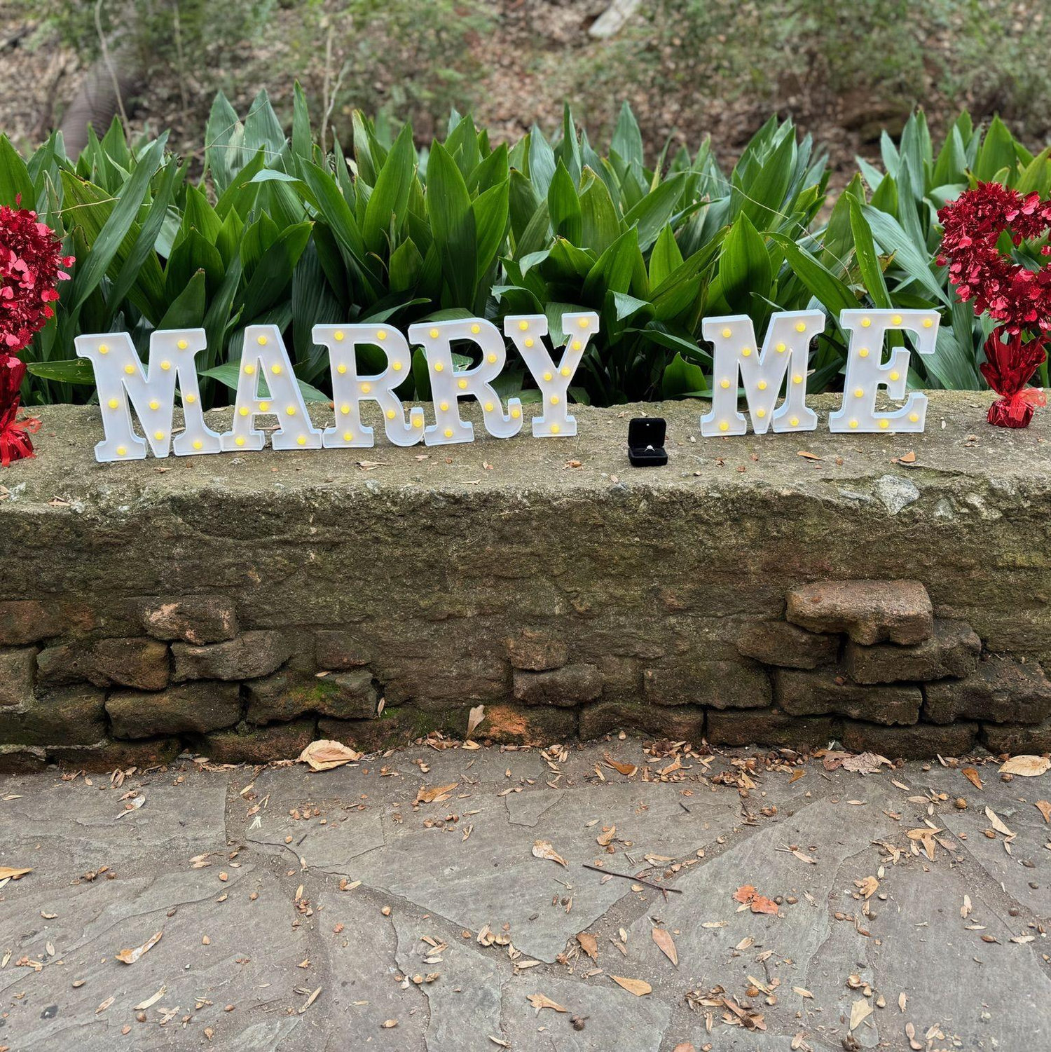 Proposal set up