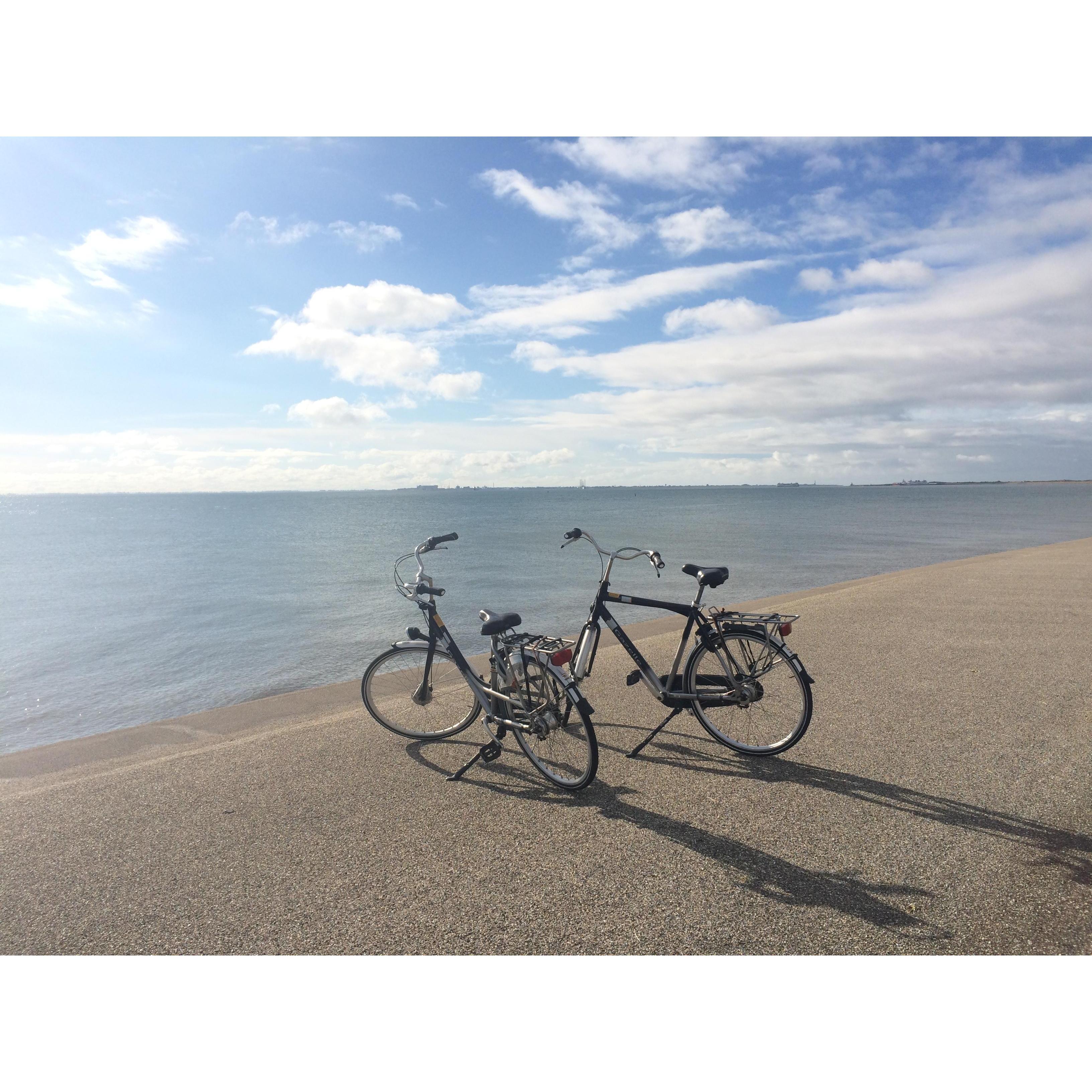 Biking in Texel