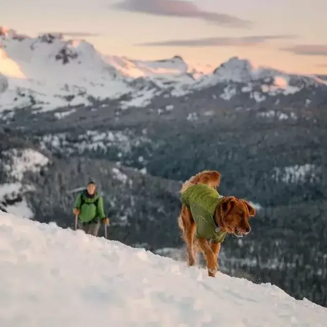 Powder Hound Winter Jacket