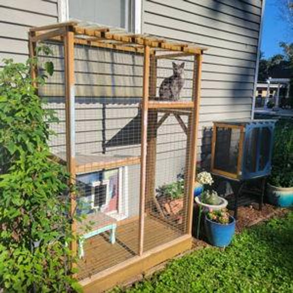 Catio for Boris & Bean