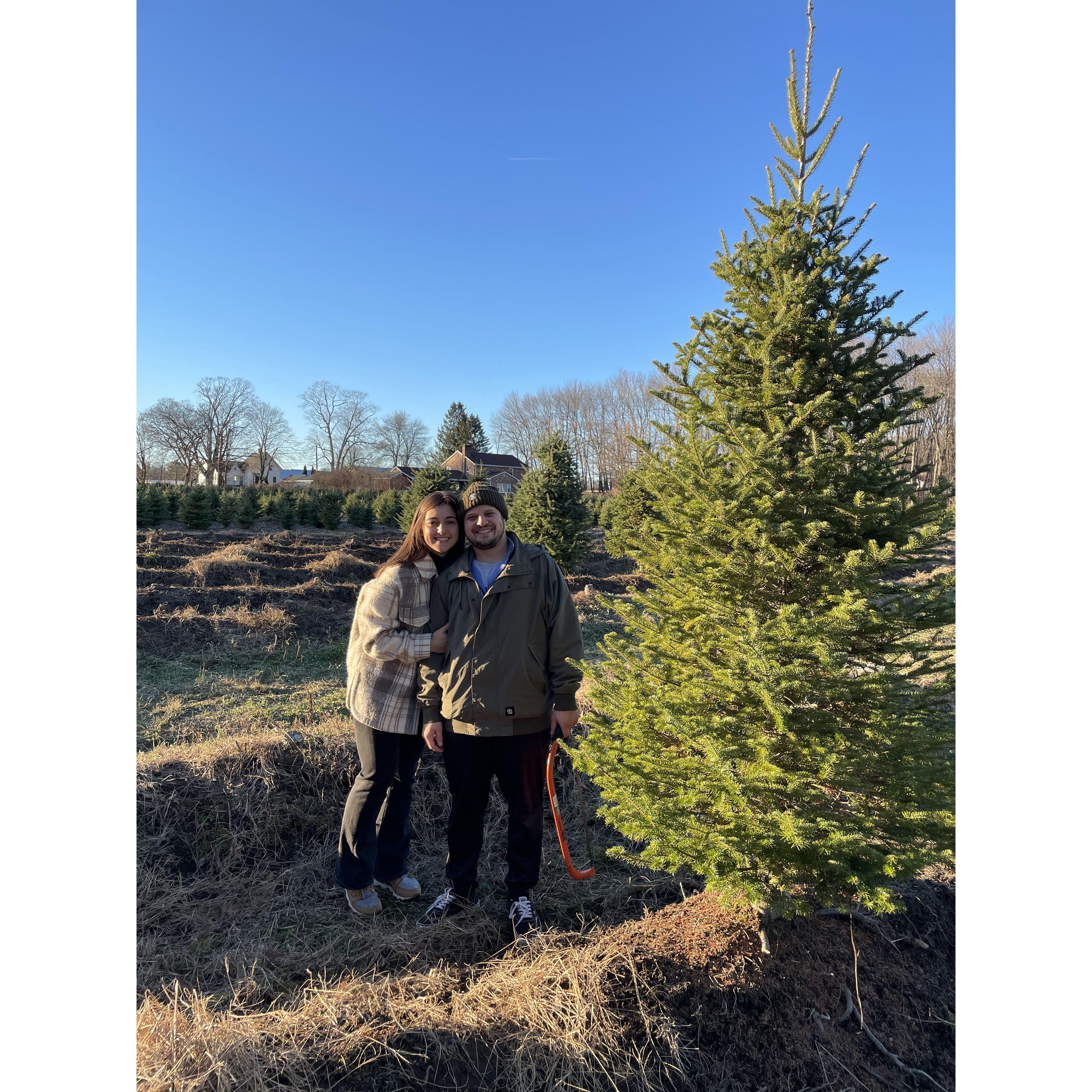 Our first Christmas Tree
