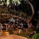 Tucson Botanical Gardens