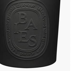 Berries candle Indoor & Outdoor | Diptyque Paris