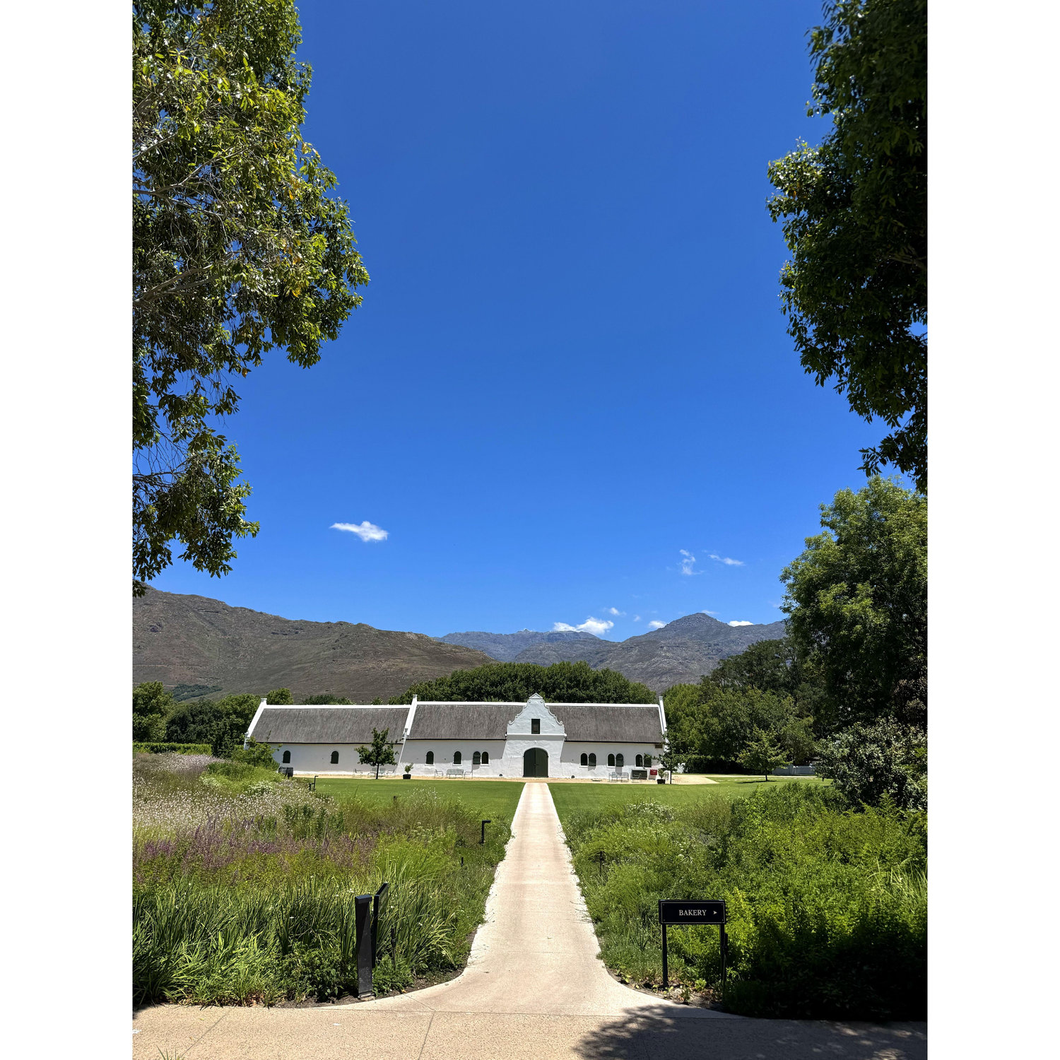 La Motte wine estate, Franschhoek - restaurants, deli, wine making etc