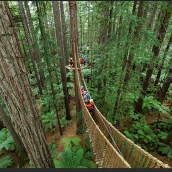 Horseback Riding and Ropes Course
