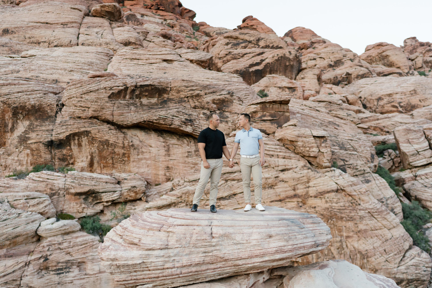 The Wedding Website of Ryan Elkins and Vincent Agnello