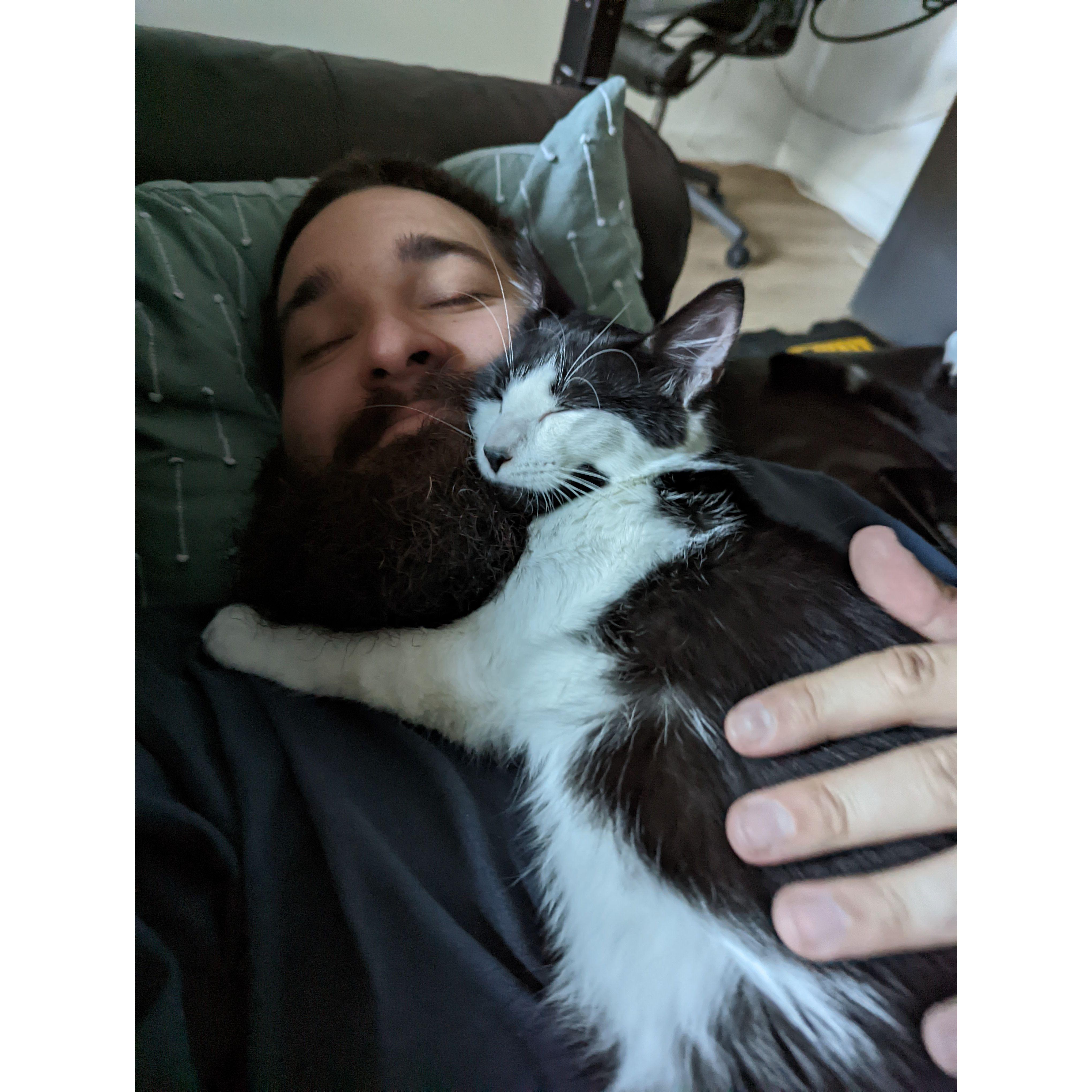 June 2022- Another furry friend joined our family- Mr. Beau! This bundle of meows and personality is Bryan's best bud and really helped Bumble come out of her shell. He's the star of the family!