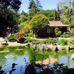 Japanese Gardens