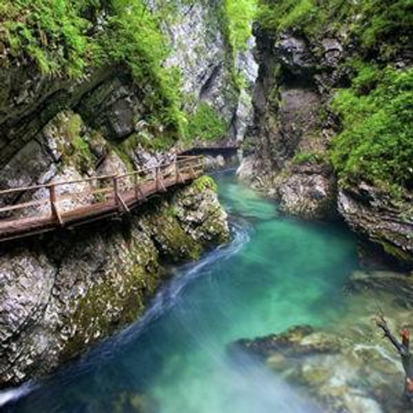 Vintgar Gorge Hiking Excursion