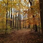 Explore the Watchung Reservation