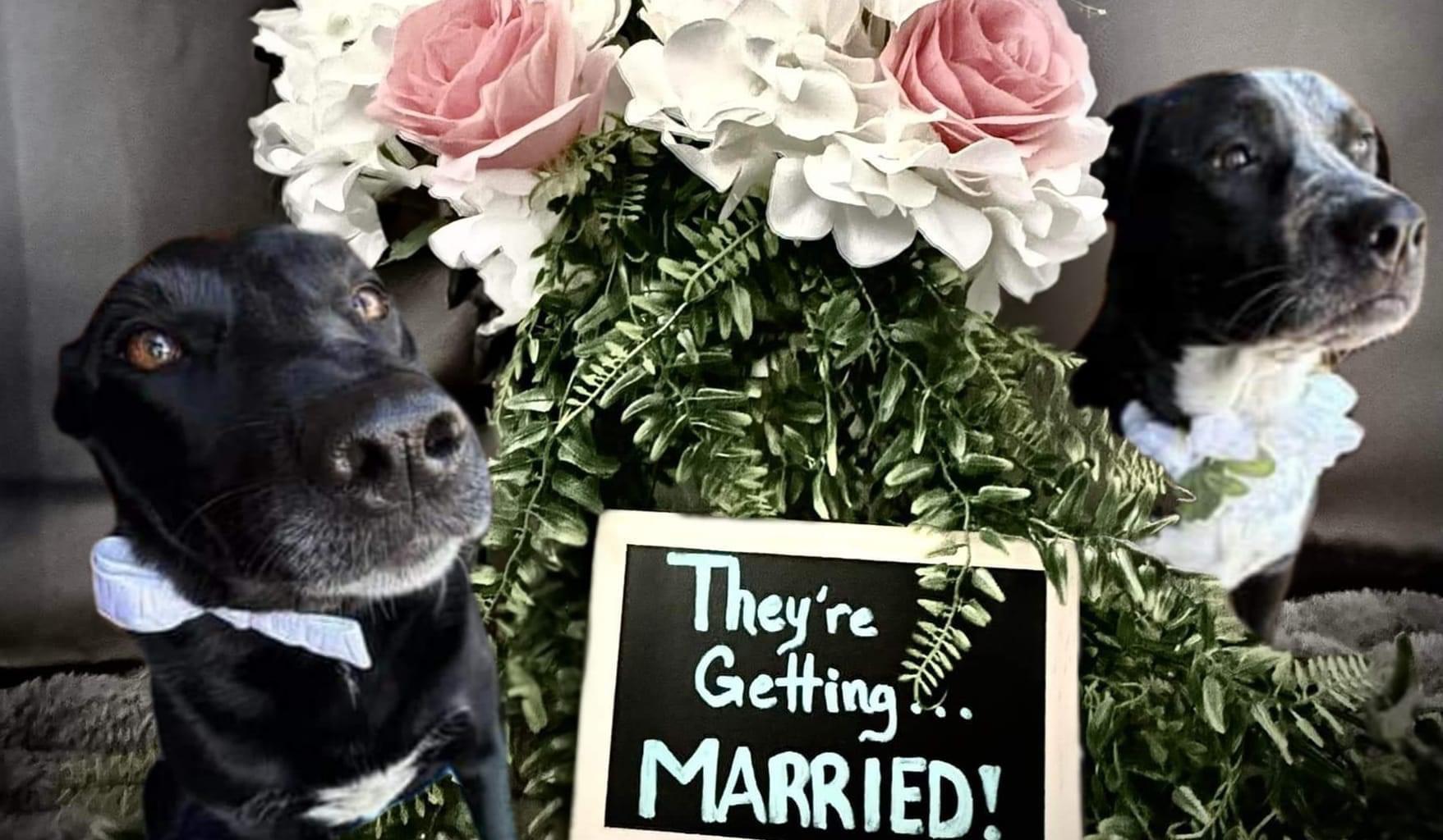 The Wedding Website of Kelly Kahoun and Derek Fleming