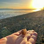 Agate hunting along the beach