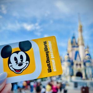 Disney Annual Passes