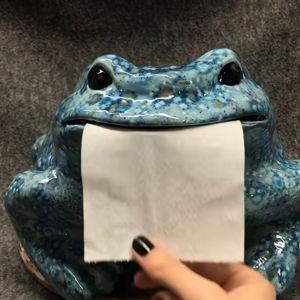Ceramic Toilet Paper Frog