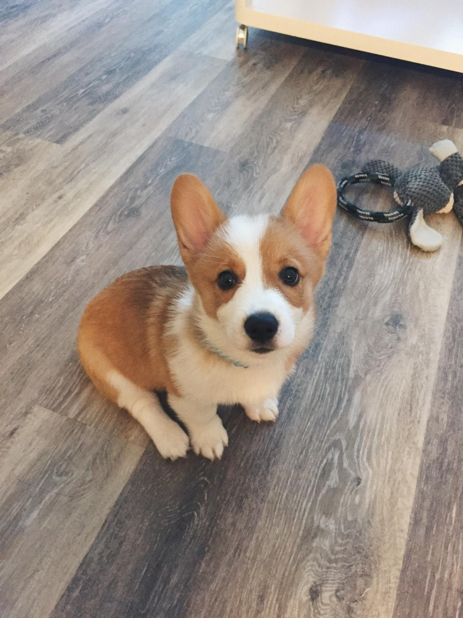 Baby dood as a baby boy!