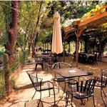Loomis Wine Tasting @ Flower Farm Cafe