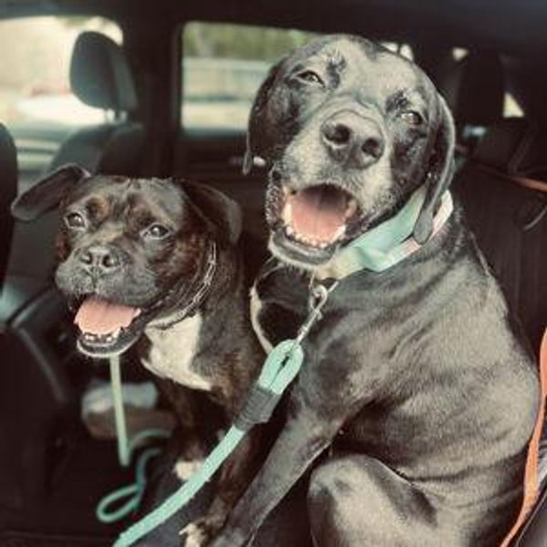 Six Months of Medication
