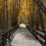 Take a walk on Rio Grande Trail