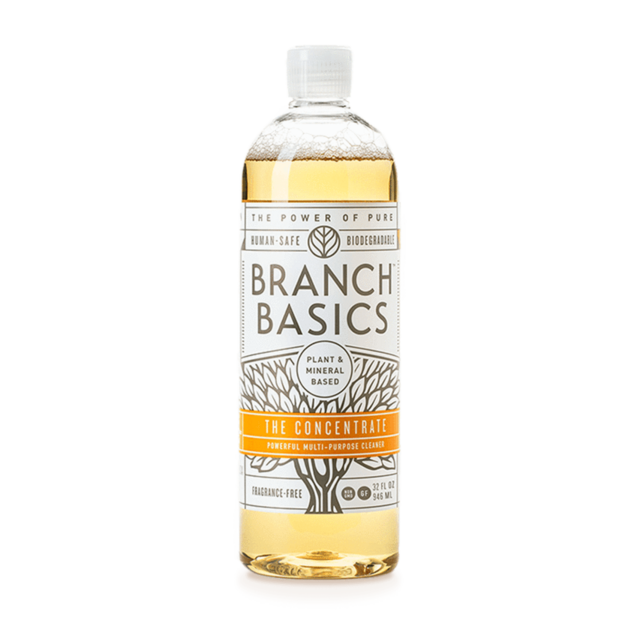 Branch Basics- The Concentrate