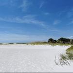 North Beach At Fort DeSoto Park