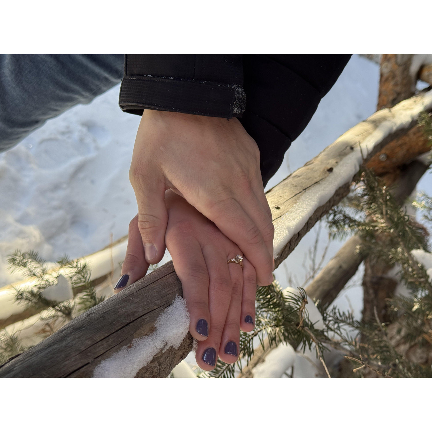 The ring