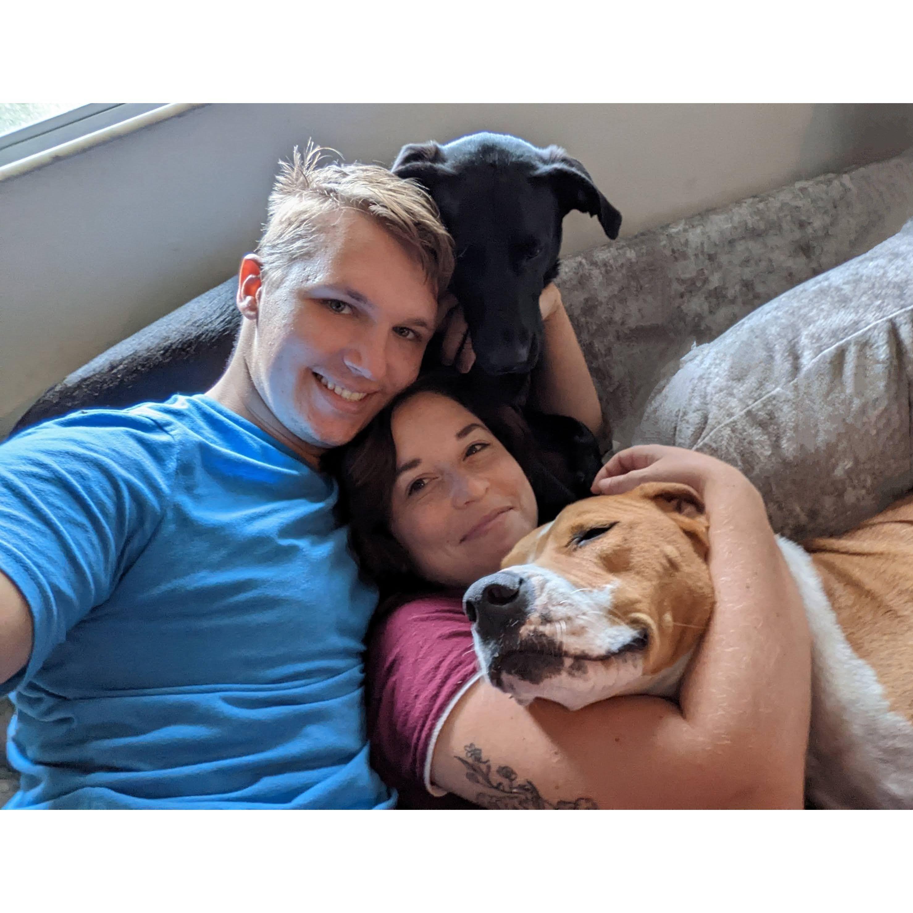 It was a good thing Kasey is a dog person. Bentley (orange and white dog) approved of him from the start. Audrey volunteers them to pet sit for friends whenever she can.