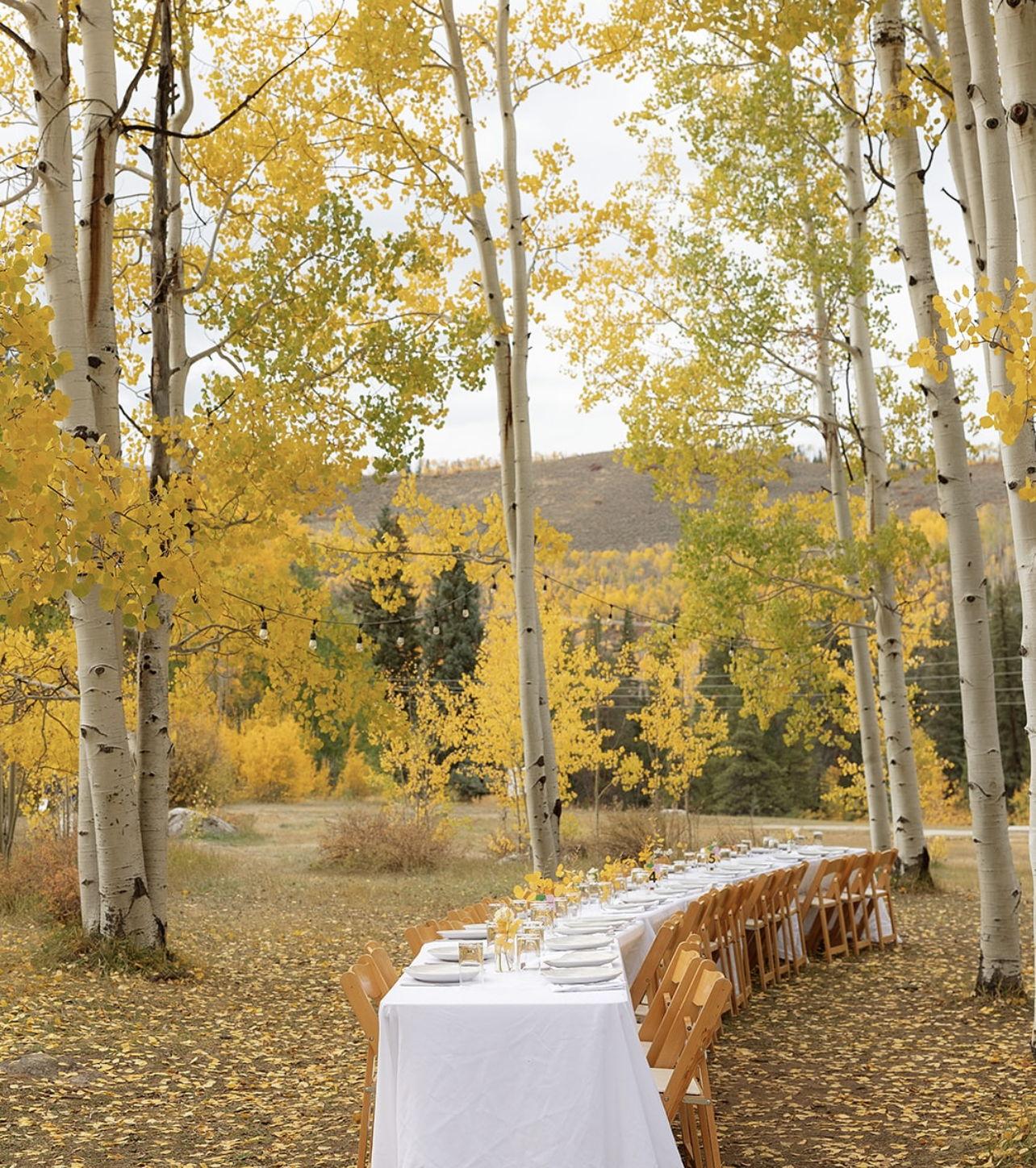 The Wedding Website of Jillian Simon and Nicolaus Pro