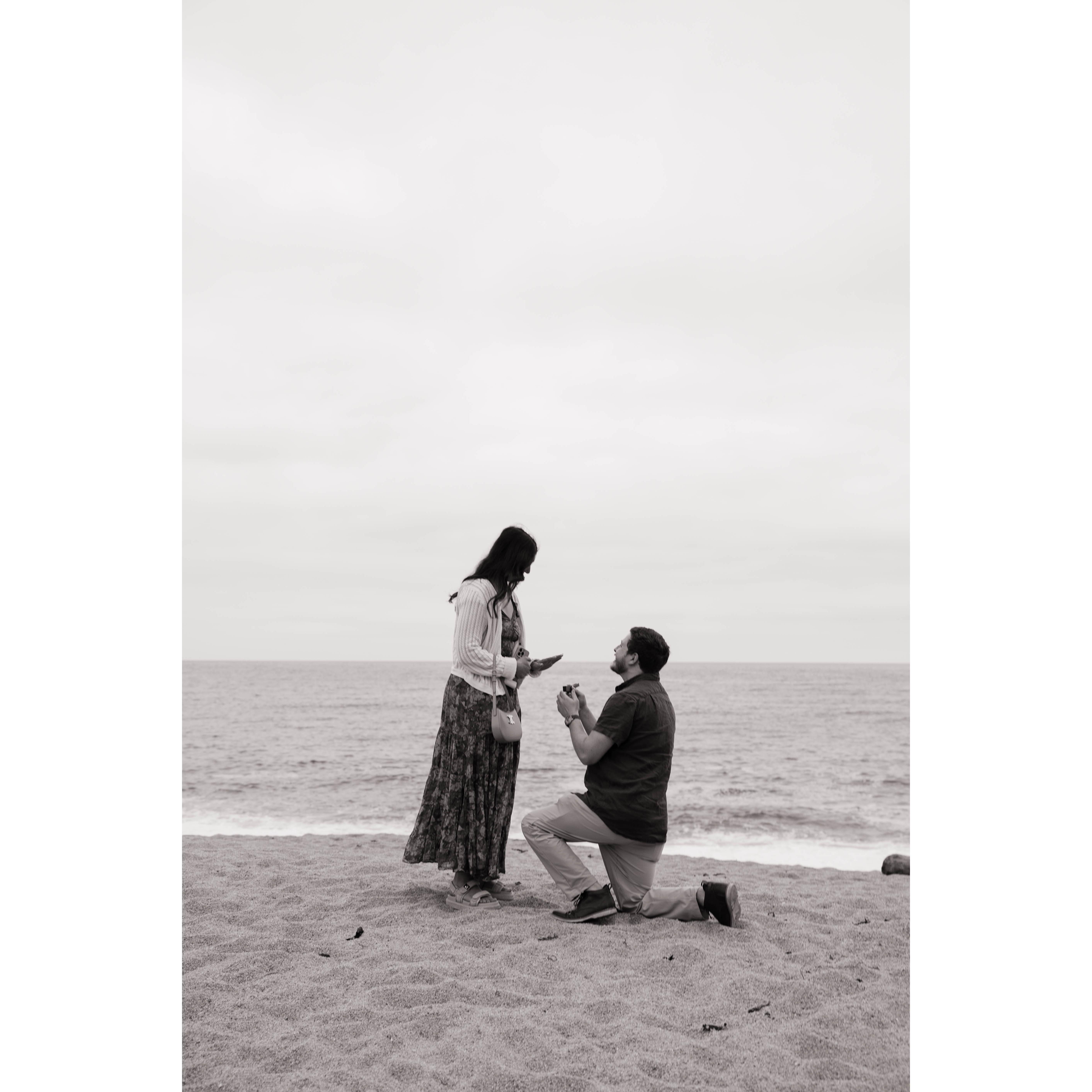 The proposal! What a surprise!