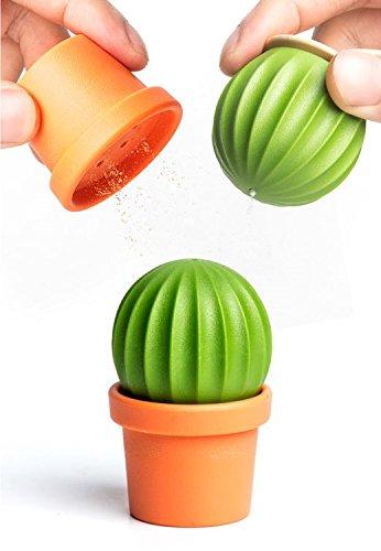 Novelty Salt and Pepper Shakers Cactus by Qualy Design Studio. Salt and Pepper Shaker in One. Great Decorative and Practical Accessory for Kitchen, Dining Room. Cool to Salt Tequila:)