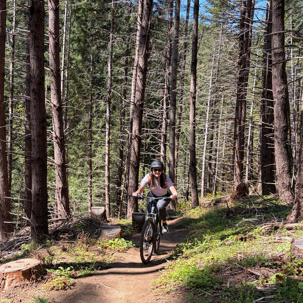 Mountain Bikes!
