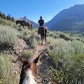 Horse Pack Trail Rides