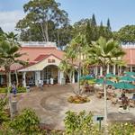 Dole Plantation