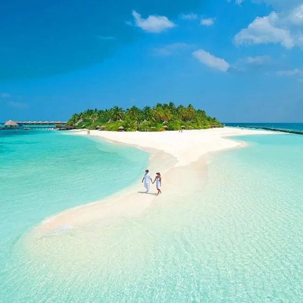 Honeymoon Fund