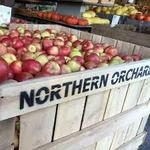 Northern Orchard Co.