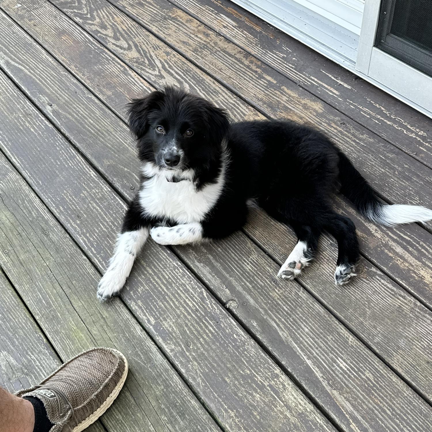 Meera is very photogenic!