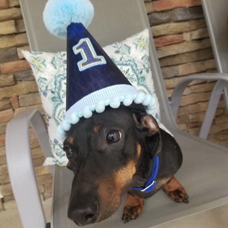 Leo's 1st Birthday
