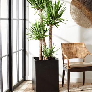 Kendri Planter