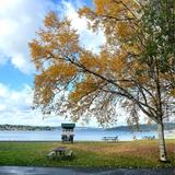 Lake Sammamish State Park