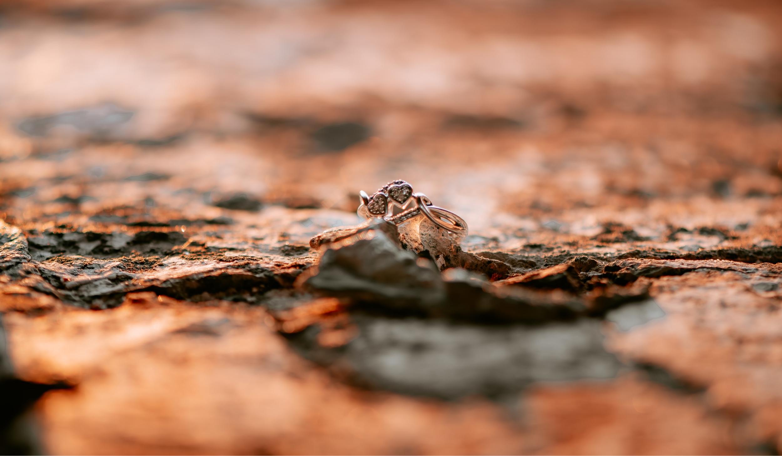 The Wedding Website of Ashley Crane and Nicholas Spradlin